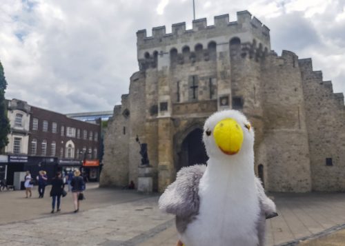 10 things to know about NC 2017 Host City Southampton